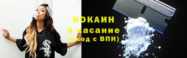 PSILOCYBIN Рославль