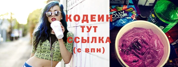 PSILOCYBIN Рославль