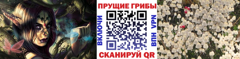 Псилоцибиновые грибы Magic Shrooms Ишимбай