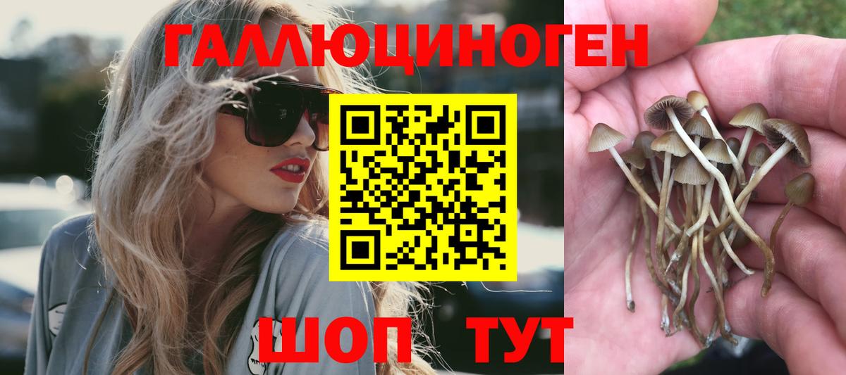 Ишимбай  Галлюциногенные грибы прущие грибы  Вход с VPN 