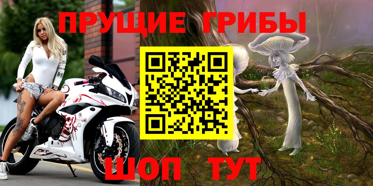 Псилоцибиновые грибы мицелий Ишимбай